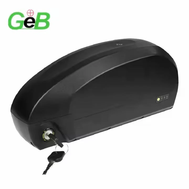 48v 60ah ebike aku