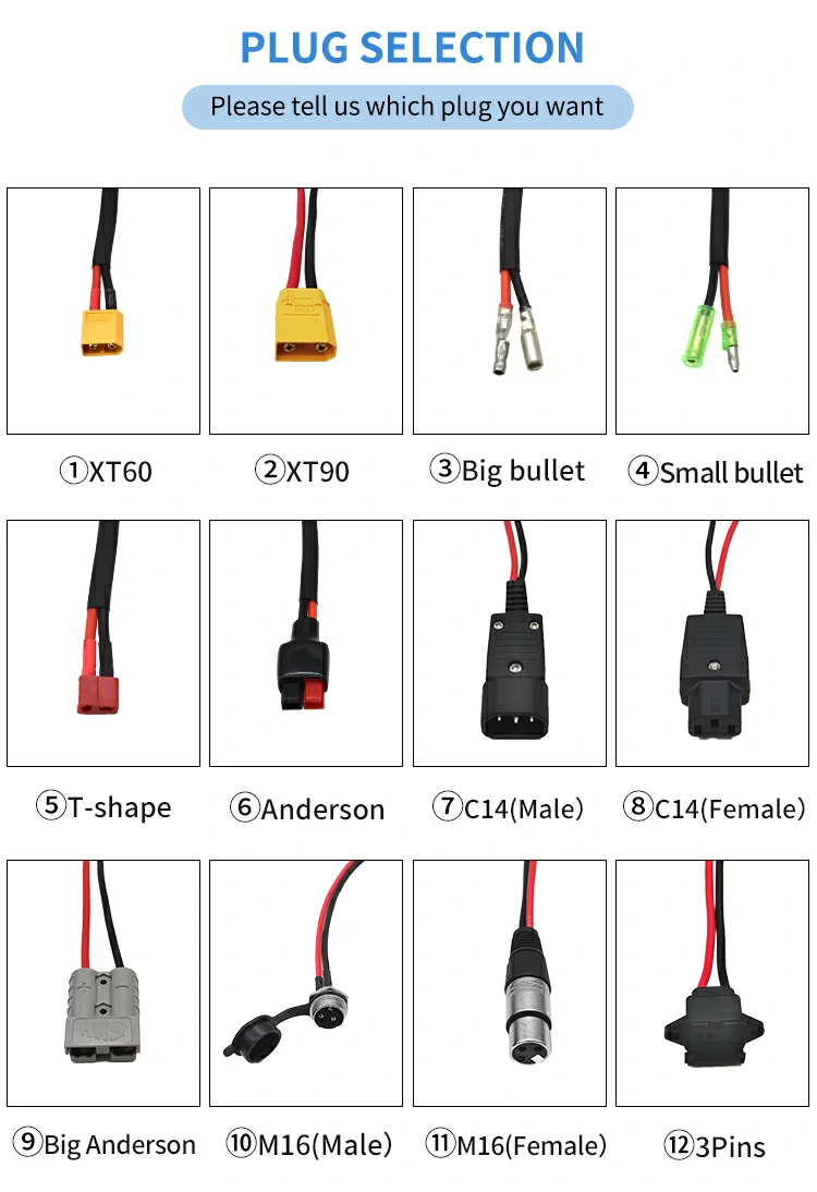 Customized Ebike Battery Pack Customized Ebike Battery Pack