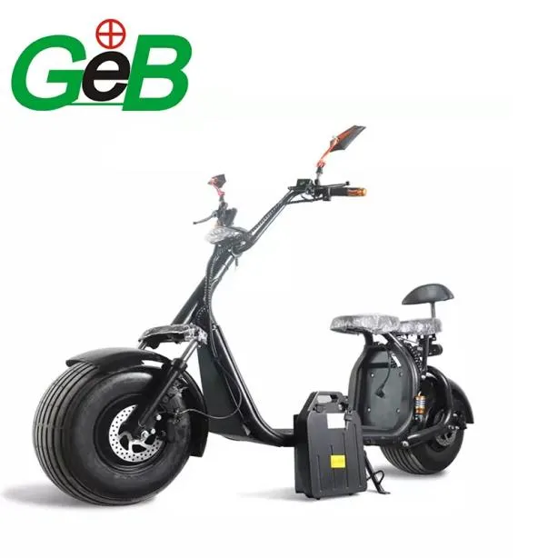 Veekindel ebike aku